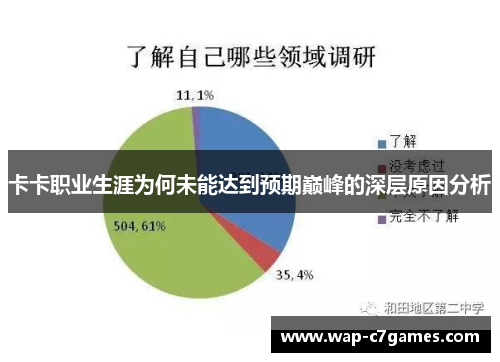 卡卡职业生涯为何未能达到预期巅峰的深层原因分析