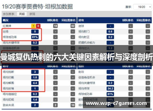 曼城复仇热刺的六大关键因素解析与深度剖析