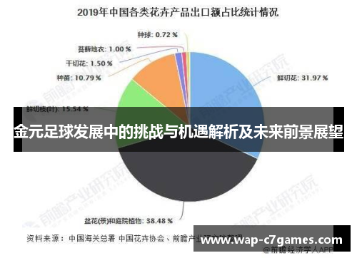 金元足球发展中的挑战与机遇解析及未来前景展望