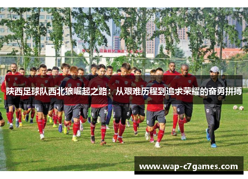 陕西足球队西北狼崛起之路：从艰难历程到追求荣耀的奋勇拼搏