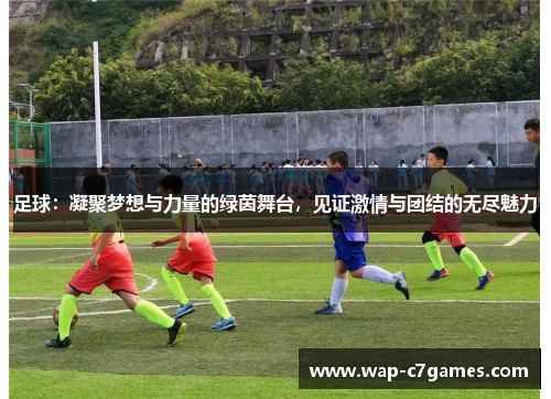足球:凝聚梦想与力量的绿茵舞台,见证激情与团结的无尽魅力 足球:凝聚梦想与力量的绿茵舞台,见证激情与团结的无尽魅力
