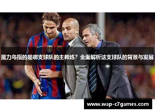 魔力鸟指的是哪支球队的主教练？全面解析这支球队的背景与发展